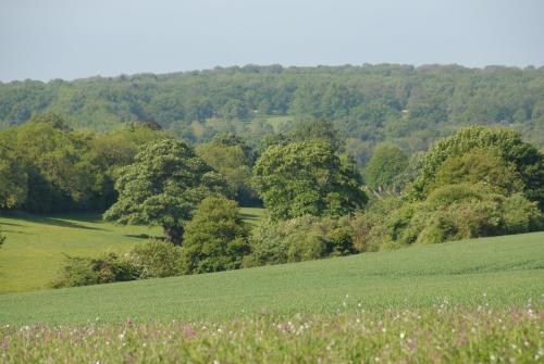 Banbury Hill Farm Bed & Breakfast 5