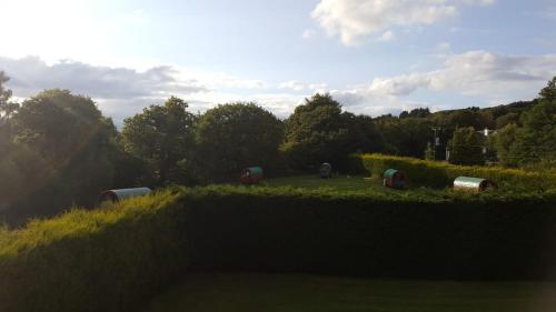 Birchdale House B&B - image 11