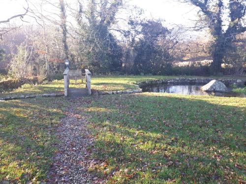 Birchdale House B&B - image 4