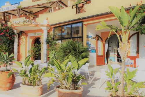 Hotel Medusa - image 6