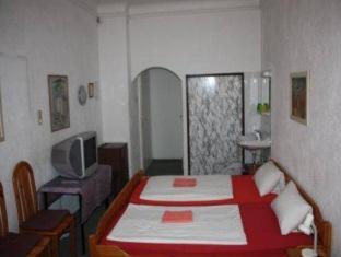 Hotel Pension Schmellergarten, Múnich (foto 8)
