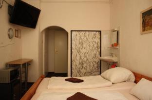 Hotel Pension Schmellergarten, Múnich (foto 10)