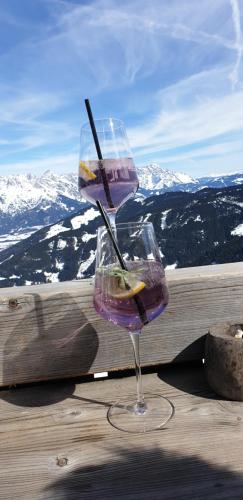 Ferienhaus Pöttler Untertauern 