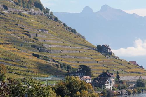 Hotel Lavaux - main image