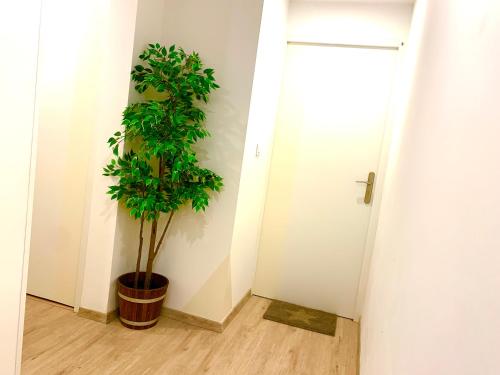 PERLE Studio - image 3