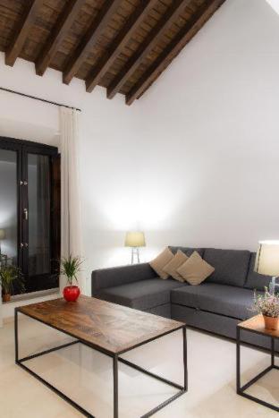 Suites Campo del Príncipe by Maxi Hoteles, Granada (fotografie 9)