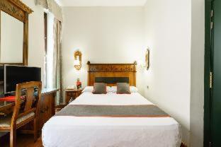 Hotel Plaza Nueva, Гранада (фото 4)
