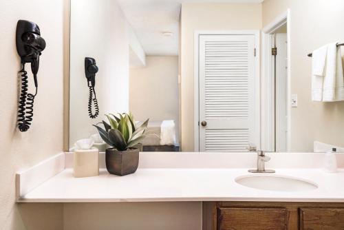 Chase Suite Hotel El Paso Room Type - Deluxe King Studio