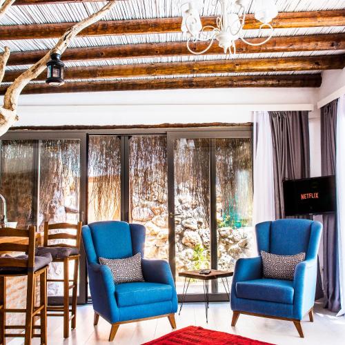  The Secret Pine in Muğla