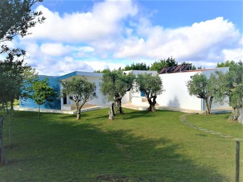 Nabij attractie, Villa das Oliveiras in Morelinho