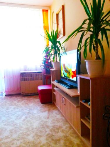 Calm&Sweet Budapest Apartment - image 6