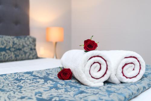 Aubyn Court Spa Motel - Accommodation - Palmerston North