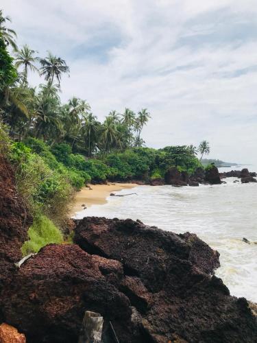 Manshore bay Kannur