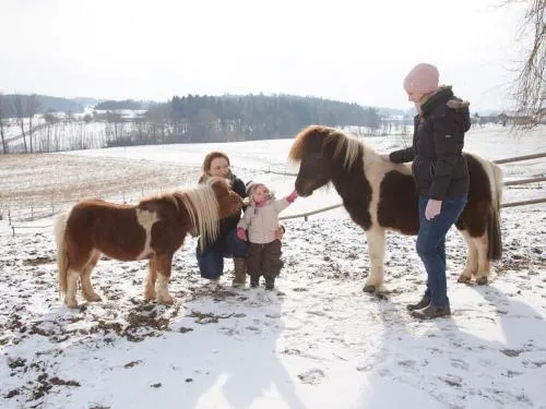 Ferienhof Dirnberg in Amerang, Deutschland