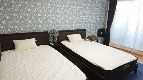 Guesthouse Gifu SUAI