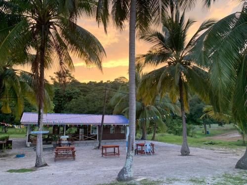 Restaurant, Wild Pasir Panjang in Pulau Tuba