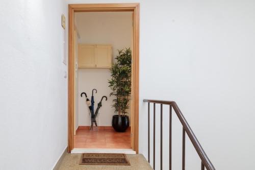 Foto - São Miguel Apartments