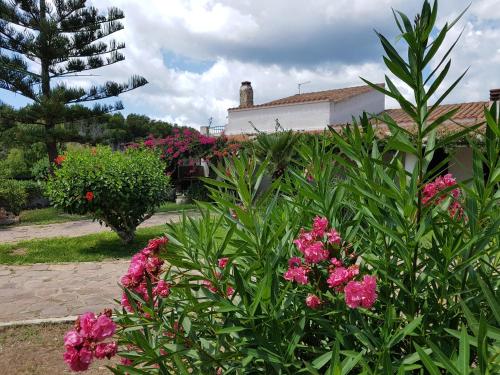  Villino Mery in Calasetta