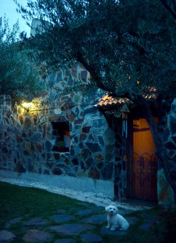 Dārzs, La Casita de Leire in Tamajon
