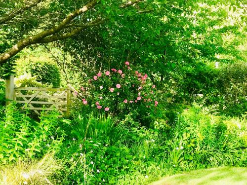 Octon Cottages - image 10