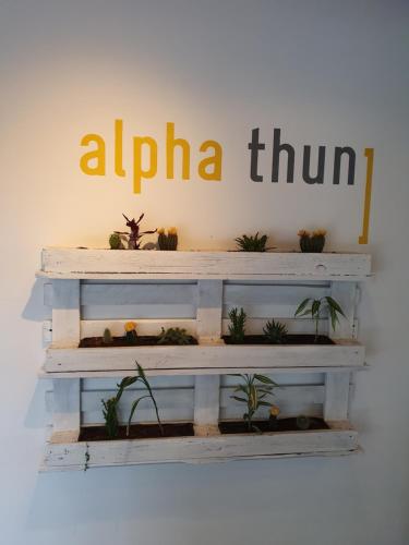 Hotel Alpha Thun