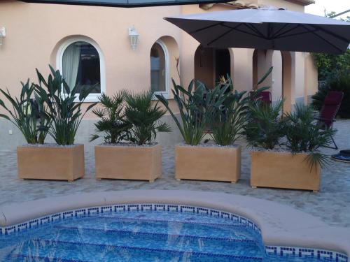  CASA MAJA, Unterkunft in Els Poblets