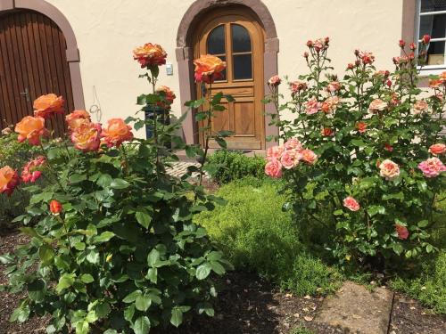 Entrance, Ferienwohnung in historischem Bauernhaus in der Eifel in Sinspelt