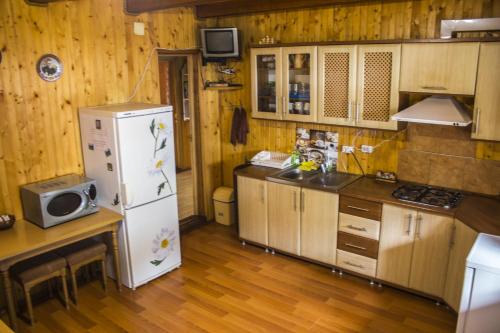 บริการและสิ่งอำนวยความสะดวก, Kryvorizka Palanka in มิคูลิชิน