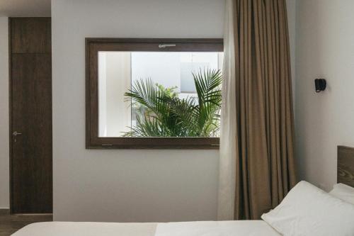 Alava Suites Room Type - Studio Apartment