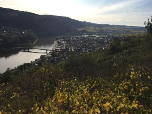 Ferienwohnung Weinbergblick