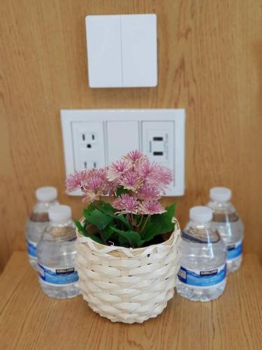 梨幸日和 Good Days in Liko 梨幸日和 Good Days in Liko