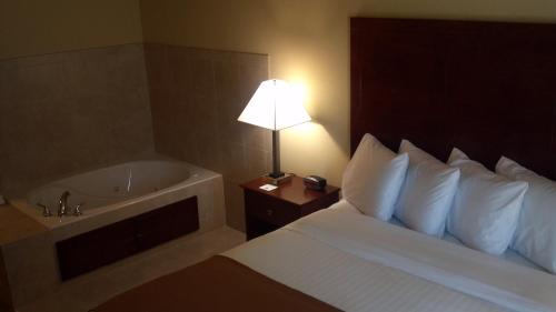 Cobblestone Hotel & Suites - Knoxville - image 7