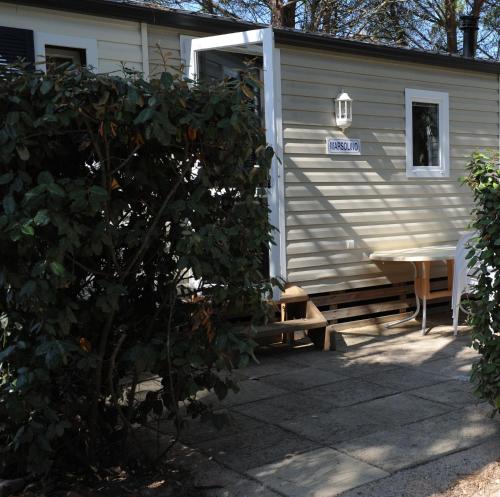 Camping International - image 7
