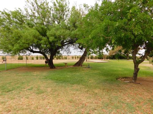 ogród, Meteorite Rest Camp in Grootfontein