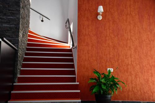 Hotel Cirus - image 2