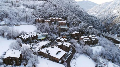 Hotel AnyosPark Mountain & Wellness Resort - Accommodation - Anyós