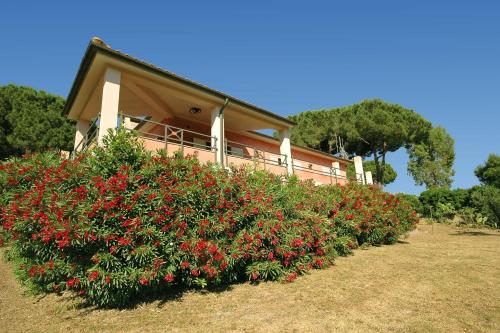 Villa Manuela - ArgonautiVacanze - image 5