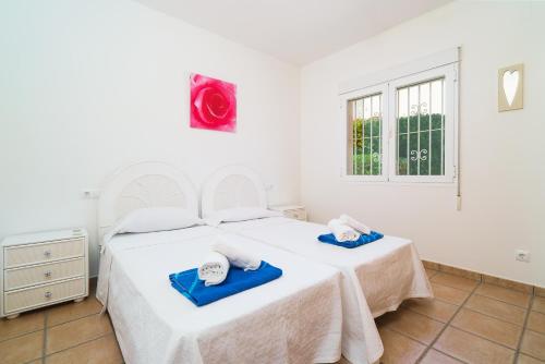 Casa Rio - image 5