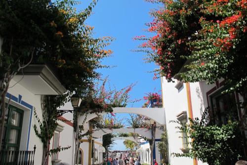 Playa Mogan Golden Beach 1 - image 5