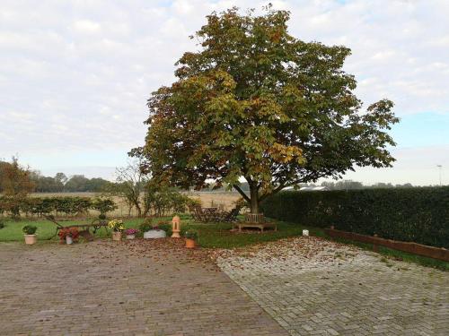 Faciliteter, Gartenwohnung in Lintelermarsch