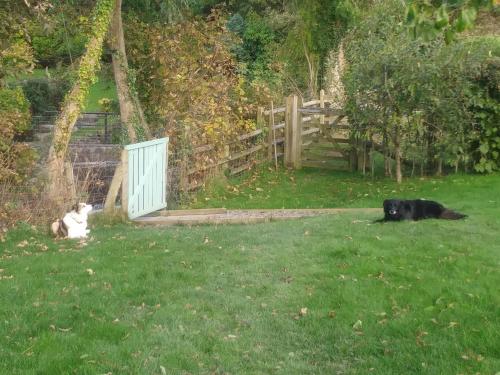 Mill Cottage - main image