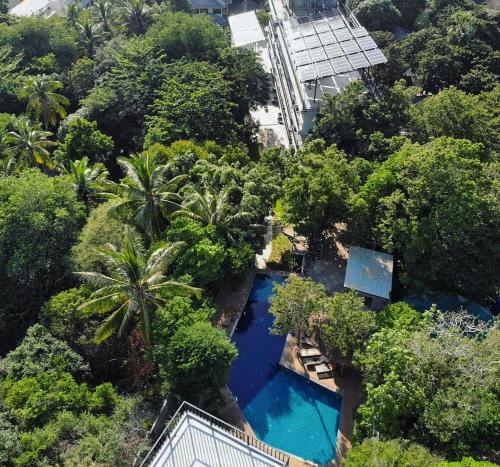 Exterior view, The Dearly Koh Tao Hostel-PADI 5 Star Dive Resort in Chalok Baan Kao