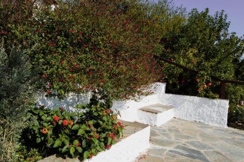 Miliα Country House