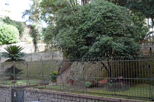 Napoliseason Rooms and Breakfast - image 12