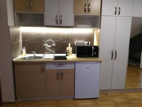 Apartman Mila 1 in Golija