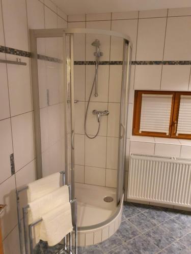 Fürdőszoba, Haus Bayliss in Zederhaus