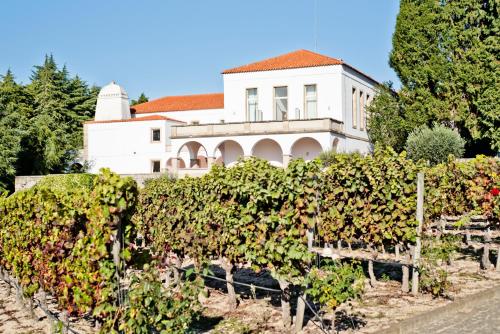 Pousada de Vila Pouca da Beira - Convento do Desagravo, Oliveira do Hospital