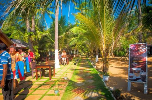 Coconut Beach Lodge