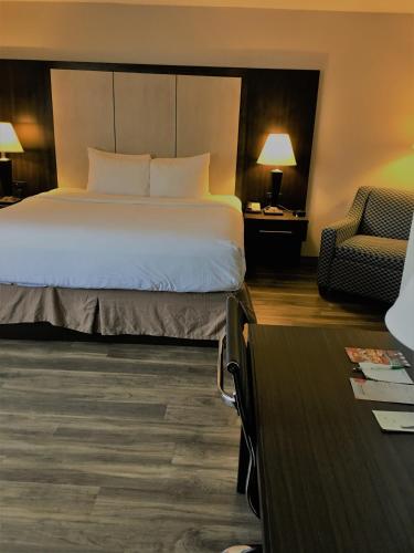 Wyndham Garden Hotel - Jacksonville - image 8