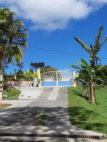 כניסה, Concept Kreyol in סיינט רוז